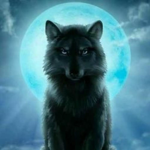 WolfLPsox’s avatar