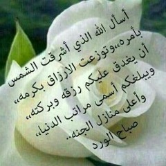 أم منتظر علي