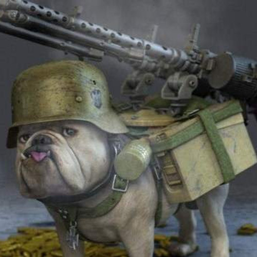 gundogz’s avatar