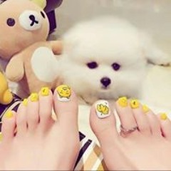 Chu Chu