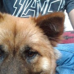 BigmonsterBR