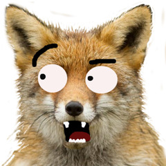 Fox ARCADES