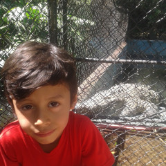 el pro