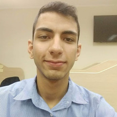 Paulo Junio Sales Rodrigues