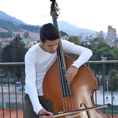 Santiago Sánchez Sosa
