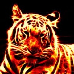 MrTiger