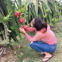 Khánh Ny