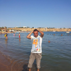 Hassan Amer