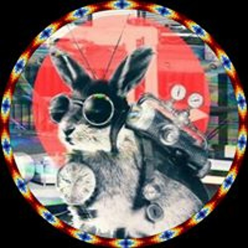 Bunny 🐰  Rabbit’s avatar