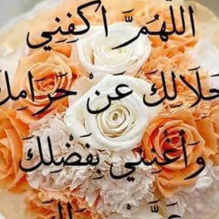 Zain Hasseb