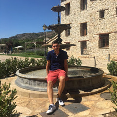 Hector Alemany Campos