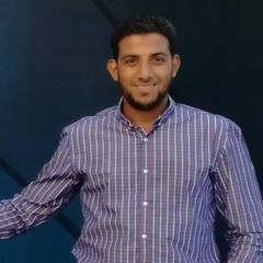 Mahmoud Sallah