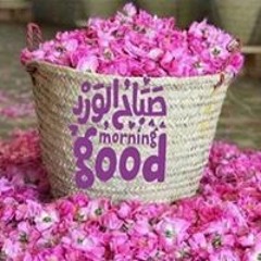 Doaa Elhady