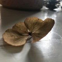 Lena.a