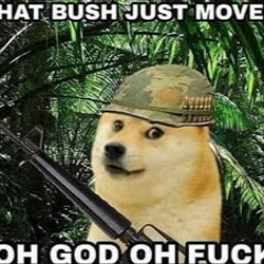 Doge War
