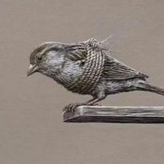 جوبا الشاعر