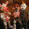 The RockFoxy nmi