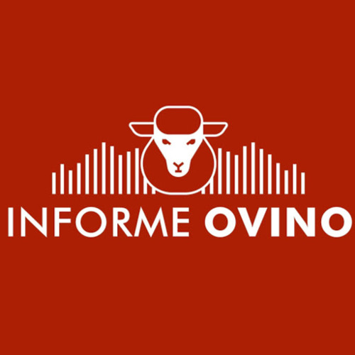 INFORME OVINO’s avatar