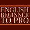 English Beginner To Pro