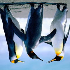 David Gallego García