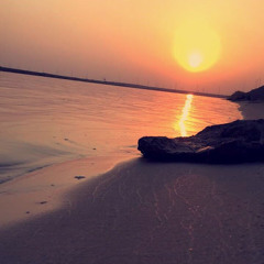 عمر الحمادي