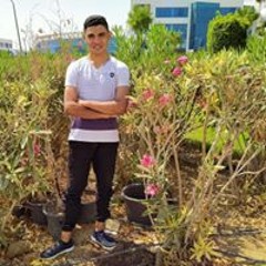 وسيم محمد