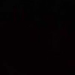 Mohamed Mahmoud Elkamangy