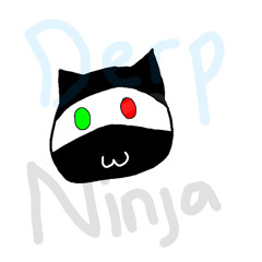 Derp Ninja
