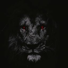 P4Z- THEBEST