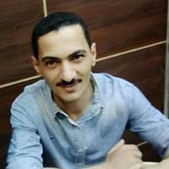 محمد الشبراوي