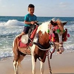 فرعون مصر