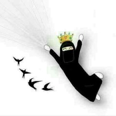 Shimaa Elnagar
