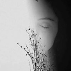 Amira Elbedawy