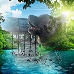 Angie Monsale Comeau