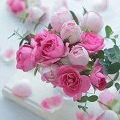 Mariam Yasser