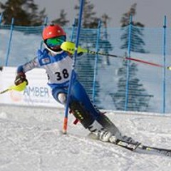 Voldemars Davidovičs