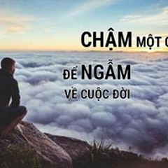 Việt Cổ