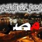 ماجده ممدوح
