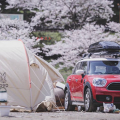 グルキャン楽しもう