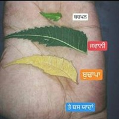 Sardar Sarabjyot Bedi