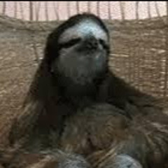 Slothcasm