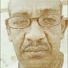 هشام محمد