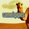 Camel Pipes