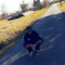 Brodie 2xx