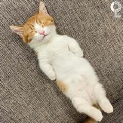 시티보이