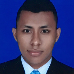 Rafael Perez Parra