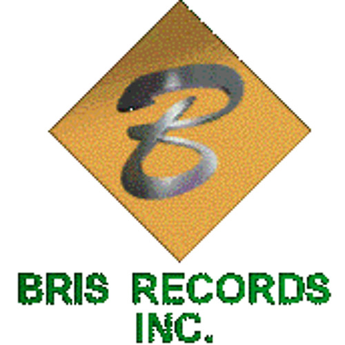 Bris Records’s avatar