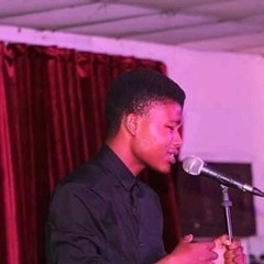 Steel The Poet Beast