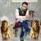 Ahmed Kamel All Farag