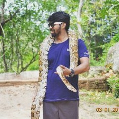 Rupesh Reddy